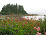 Grounds of Shrine of Saint Therese, Juneau, Alaska